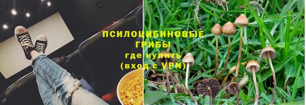 амф Абдулино